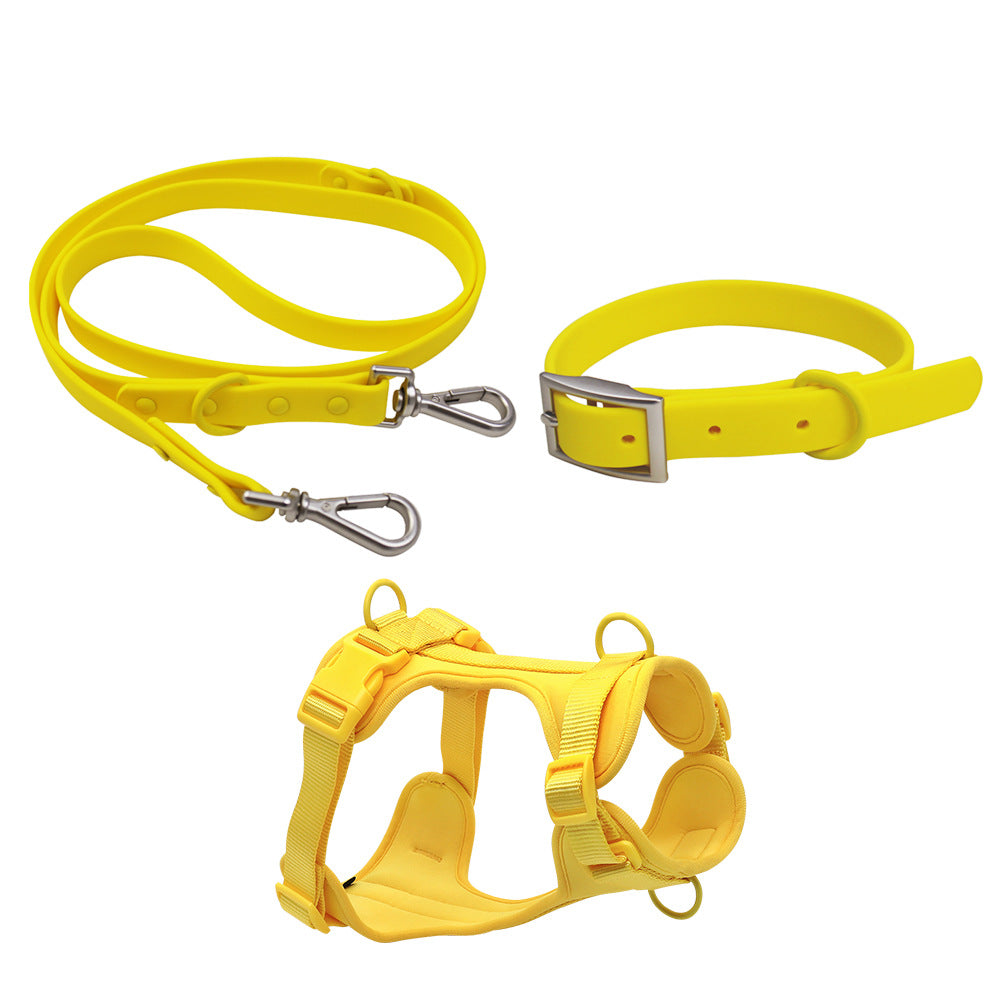 Waterproof PVC Dog Collar - Small, Medium breeds - New Season Colours