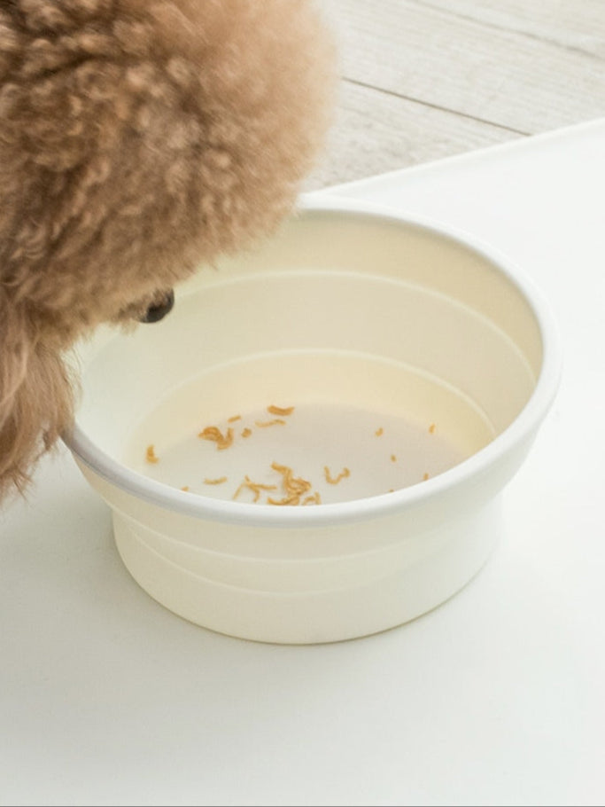 Foldable Silicone Travel Pet Bowl