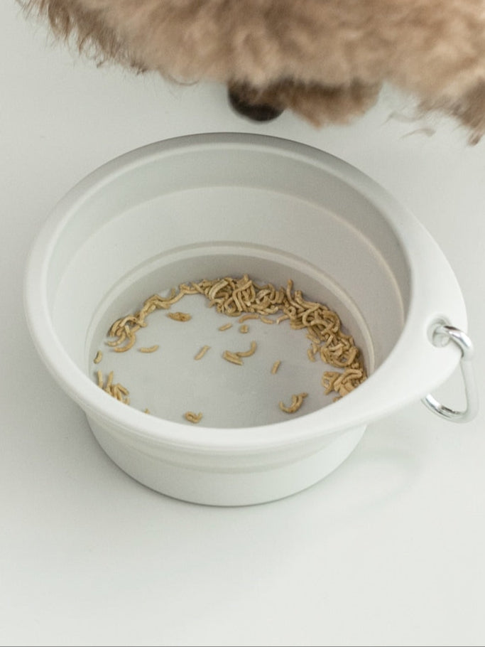 Foldable Silicone Travel Pet Bowl