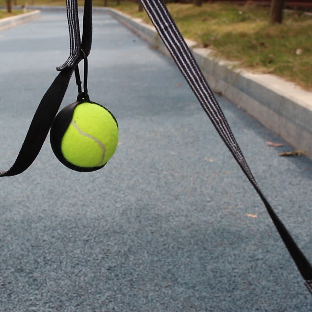 Dog Fetch Tennis Ball Carrier - New Season Colours