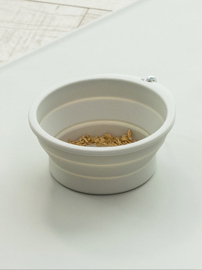 Foldable Silicone Travel Pet Bowl