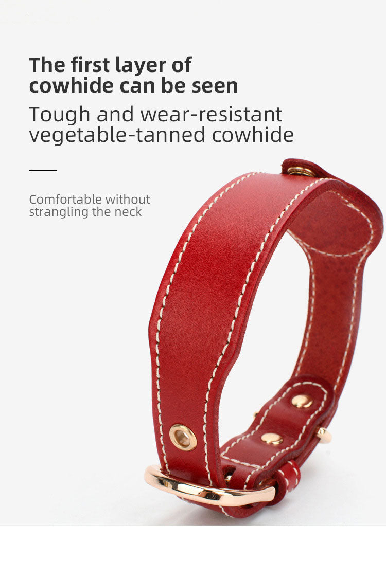 Dog Airtag Collar