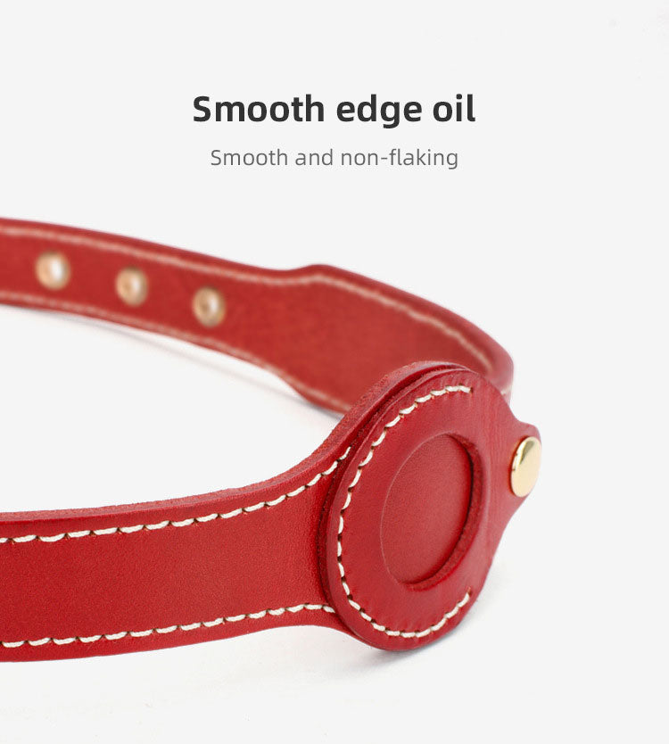 Dog Airtag Collar