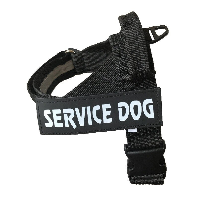 ersonalized Dog Adjustable Dog Harness Vest