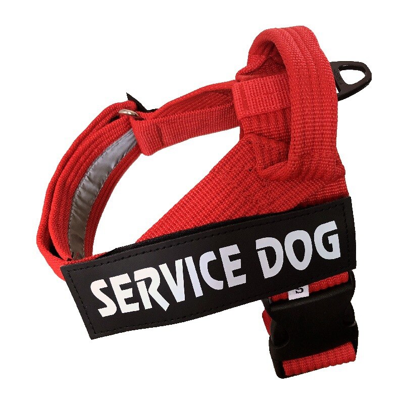 ersonalized Dog Adjustable Dog Harness Vest