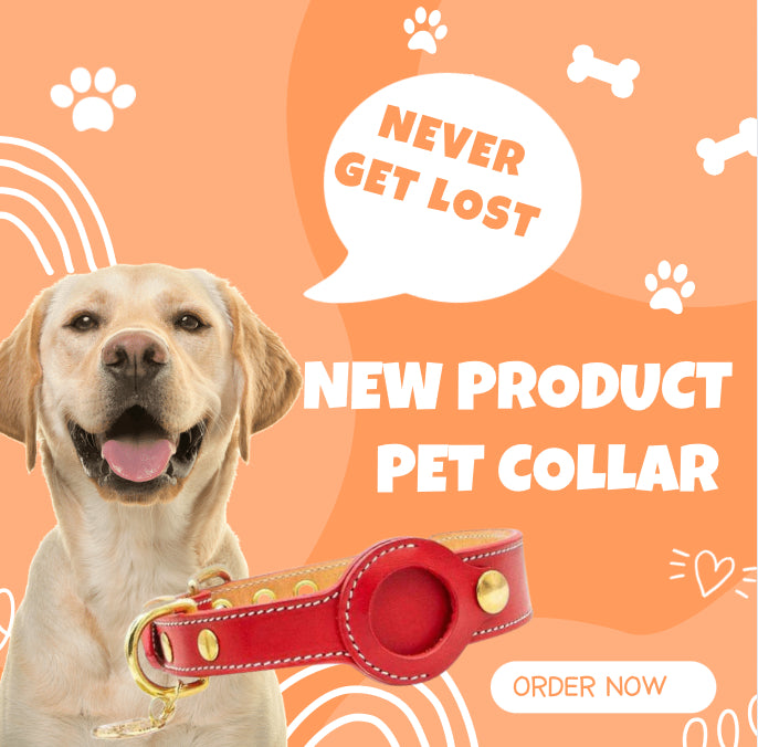 Dog Airtag Collar