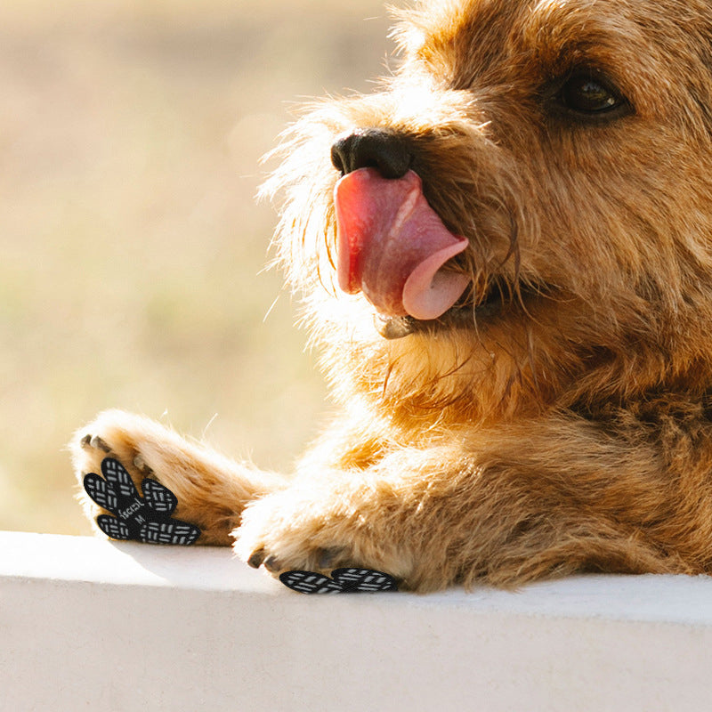"Paws-on-Guard" Waterproof and Dirt-Proof Pet Foot Stickers