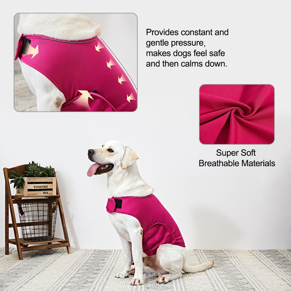 Dog Anxiety Vest