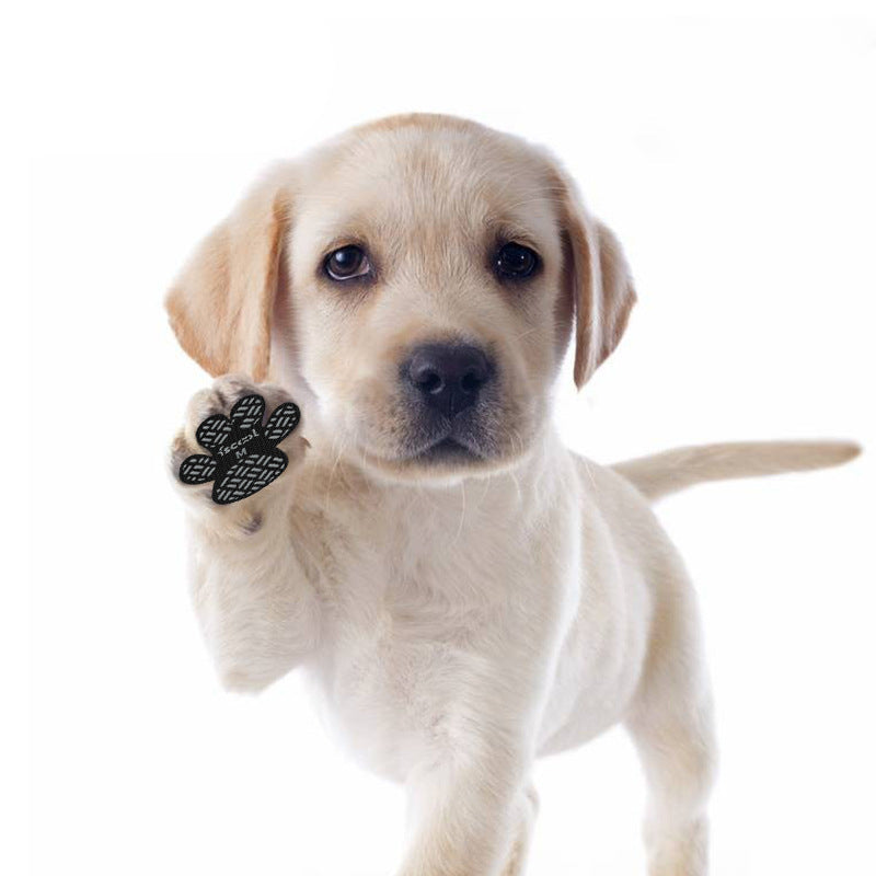 "Paws-on-Guard" Waterproof and Dirt-Proof Pet Foot Stickers