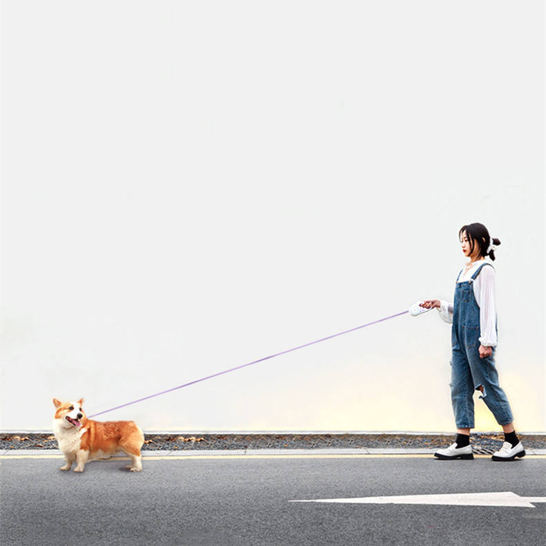 Glowing Dog Leash Automatic Retractable