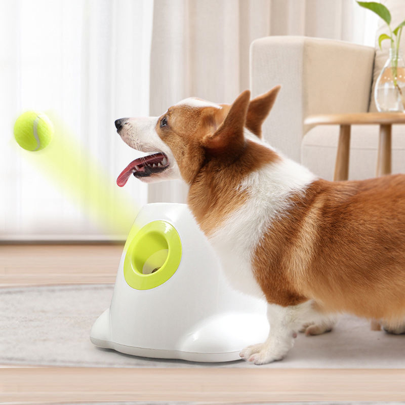 FetchMate: The Ultimate Automatic Ball Launcher for Dogs