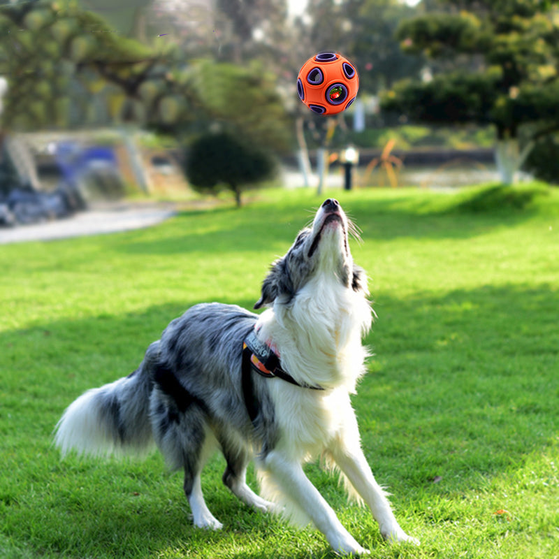 The "Funny Food Ball" Pet Dog Toy - Interactive Chew Toy and Food Dispenser for Dogs.