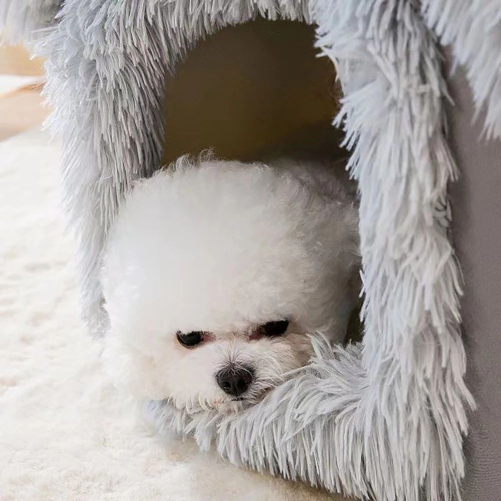 Cozy dog home