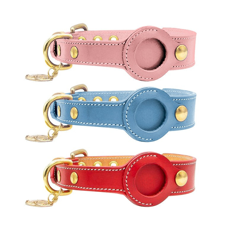 Dog Airtag Collar